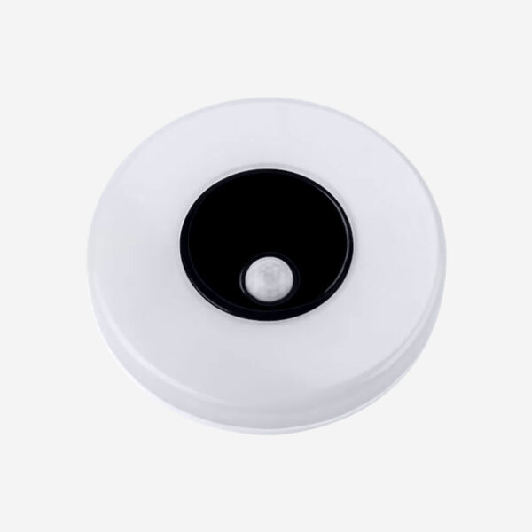 Luz con Sensor Inteligente de Pared Luz con Sensor Inteligente de Pared Luz Fría y Cálida