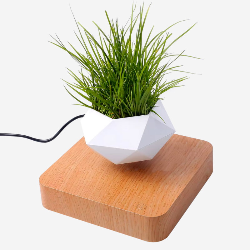 maceta levitante blanca