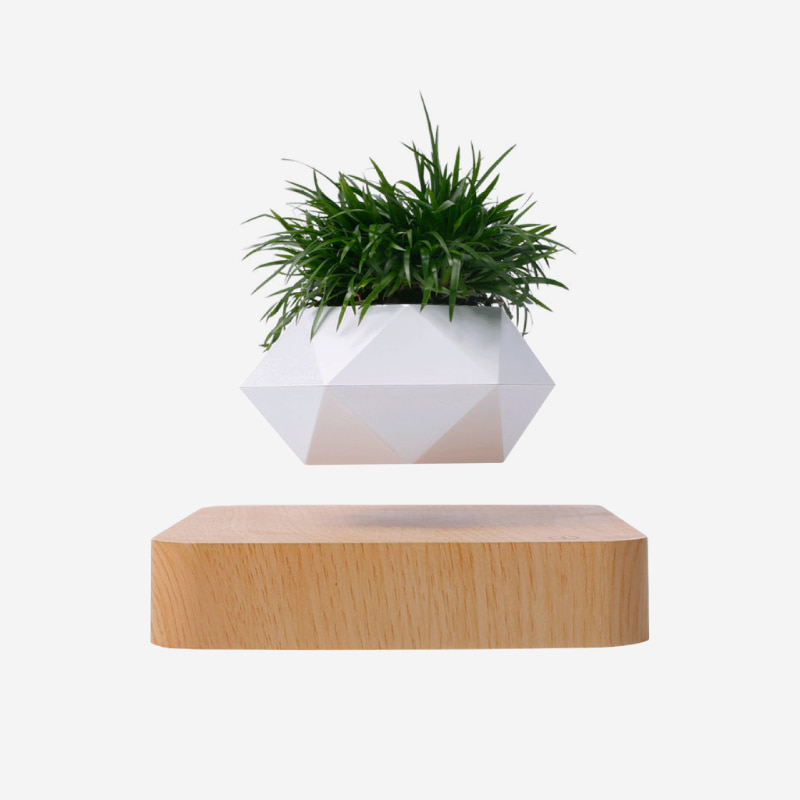 maceta levitante blanca
